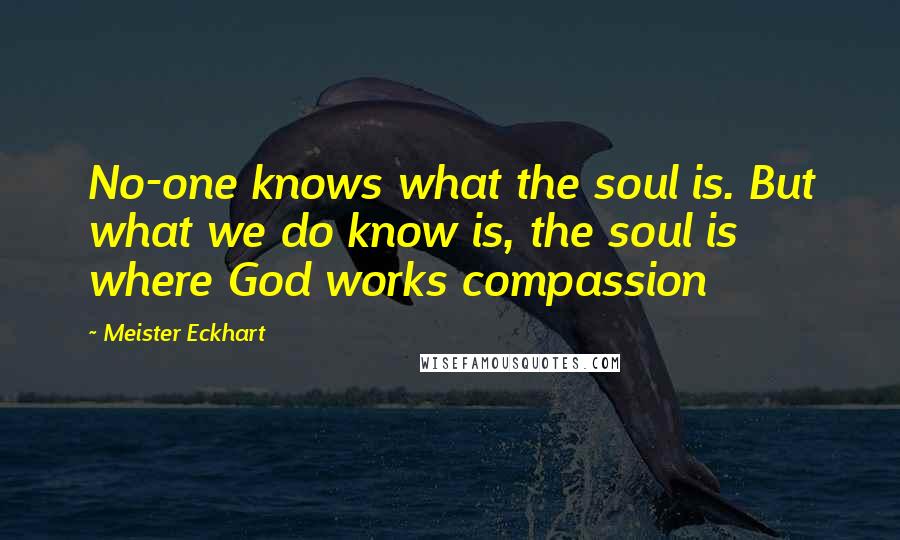 Meister Eckhart Quotes: No-one knows what the soul is. But what we do know is, the soul is where God works compassion