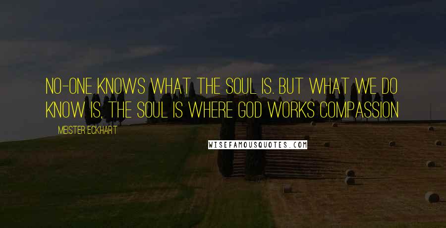 Meister Eckhart Quotes: No-one knows what the soul is. But what we do know is, the soul is where God works compassion