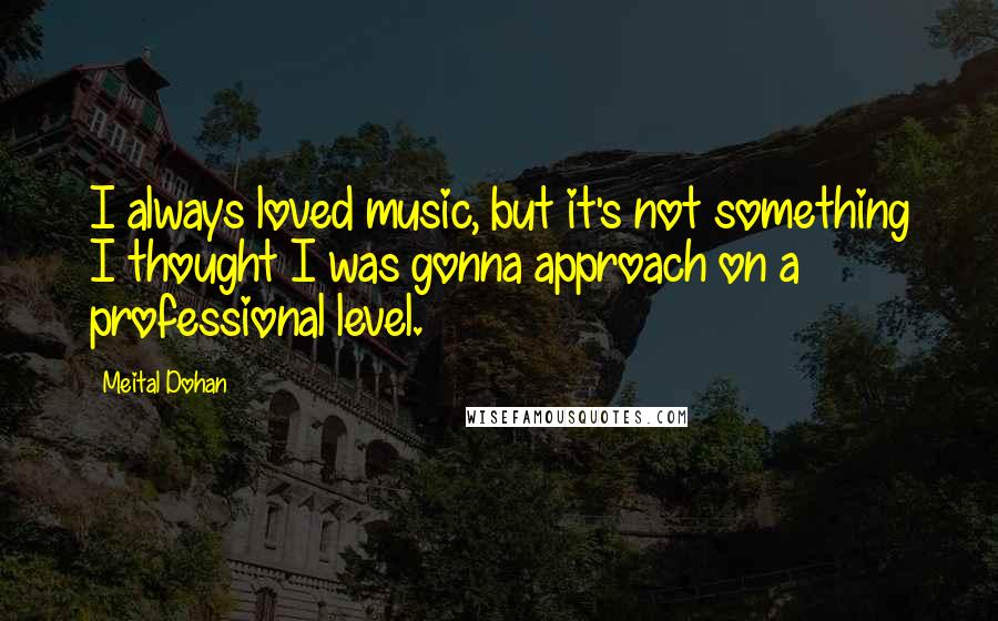 Meital Dohan Quotes: I always loved music, but it's not something I thought I was gonna approach on a professional level.