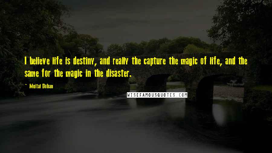 Meital Dohan Quotes: I believe life is destiny, and really the capture the magic of life, and the same for the magic in the disaster.