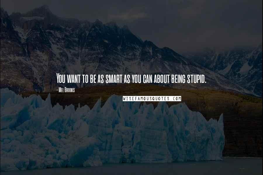 Mel Brooks Quotes: You want to be as smart as you can about being stupid.