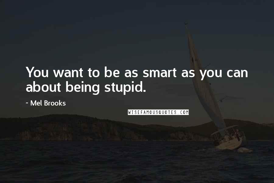 Mel Brooks Quotes: You want to be as smart as you can about being stupid.