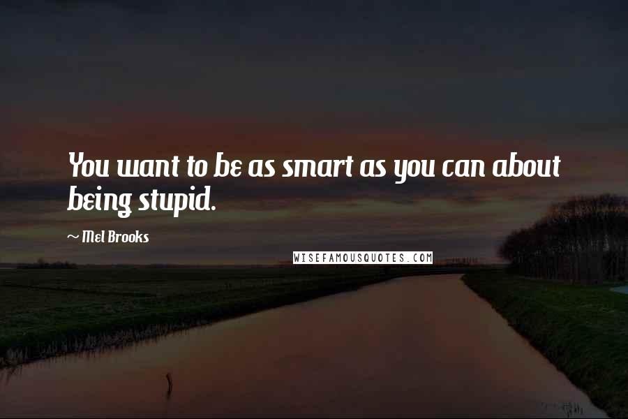 Mel Brooks Quotes: You want to be as smart as you can about being stupid.