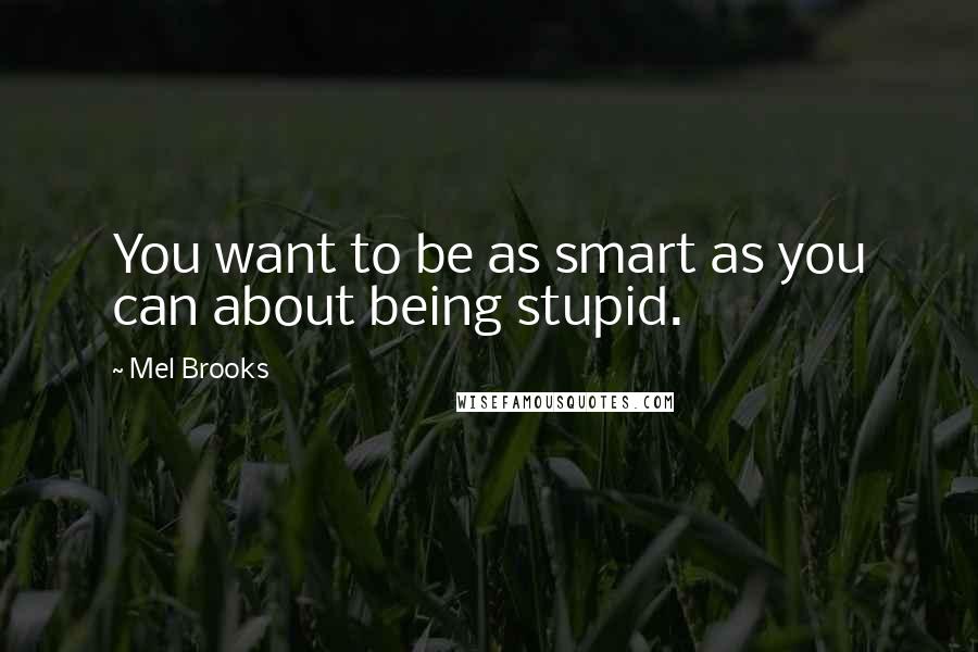 Mel Brooks Quotes: You want to be as smart as you can about being stupid.