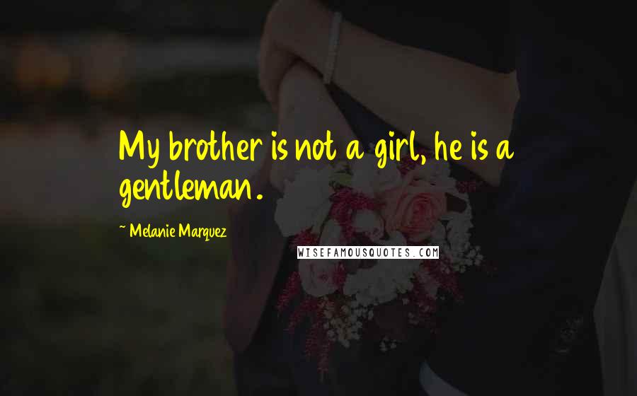 Melanie Marquez Quotes: My brother is not a girl, he is a gentleman.