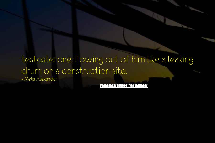 Melia Alexander Quotes: testosterone flowing out of him like a leaking drum on a construction site.