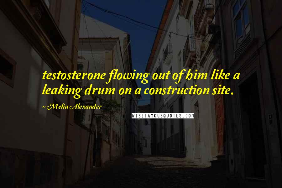 Melia Alexander Quotes: testosterone flowing out of him like a leaking drum on a construction site.
