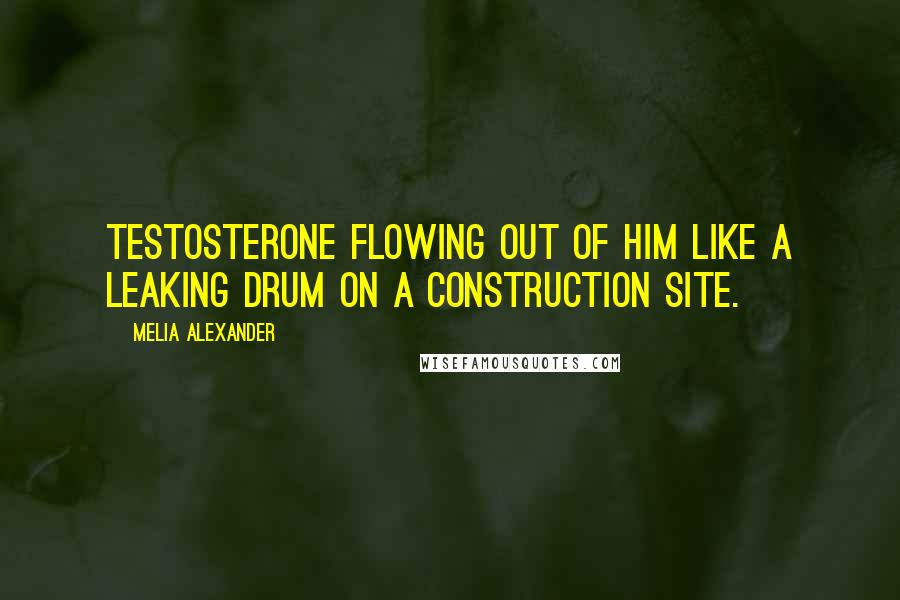 Melia Alexander Quotes: testosterone flowing out of him like a leaking drum on a construction site.