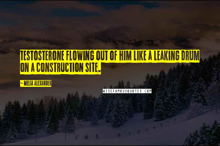 Melia Alexander Quotes: testosterone flowing out of him like a leaking drum on a construction site.