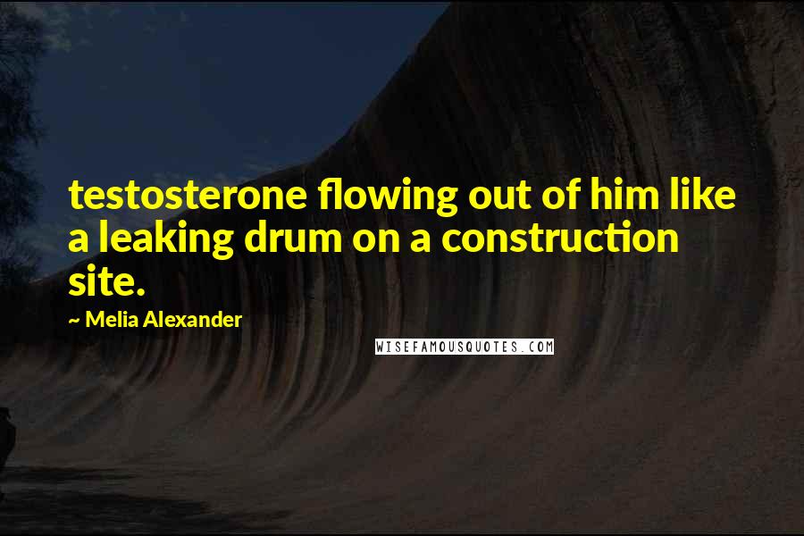 Melia Alexander Quotes: testosterone flowing out of him like a leaking drum on a construction site.