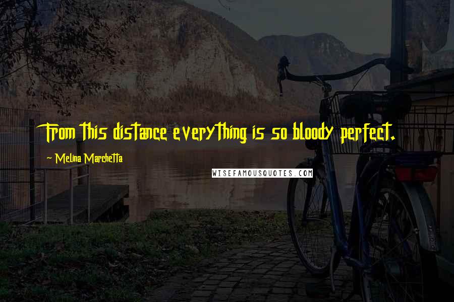 Melina Marchetta Quotes: From this distance everything is so bloody perfect.