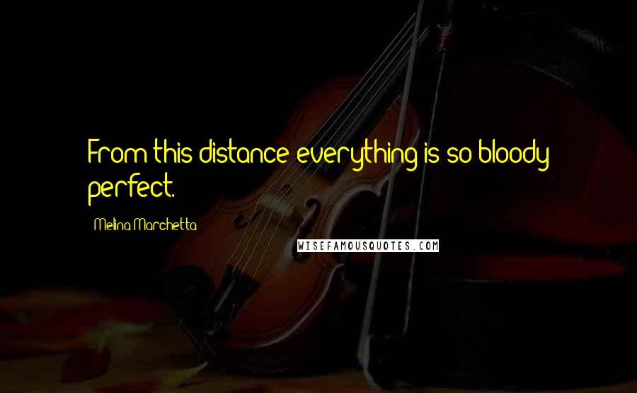 Melina Marchetta Quotes: From this distance everything is so bloody perfect.