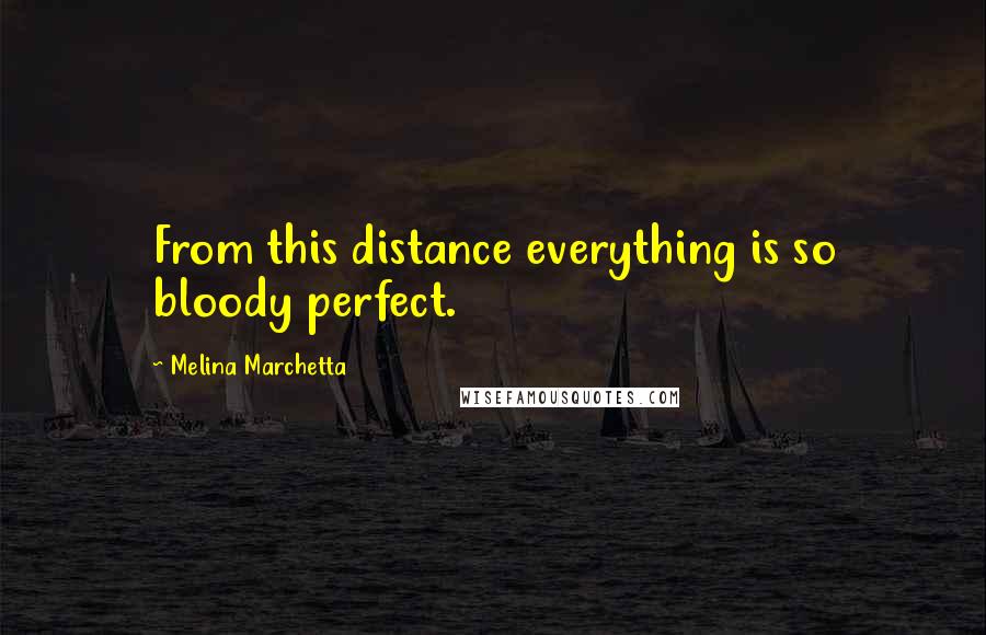 Melina Marchetta Quotes: From this distance everything is so bloody perfect.