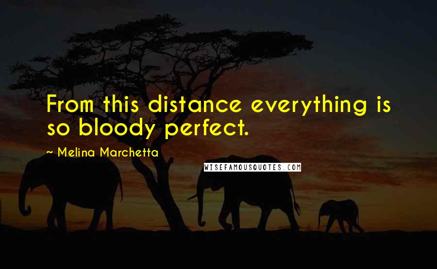 Melina Marchetta Quotes: From this distance everything is so bloody perfect.