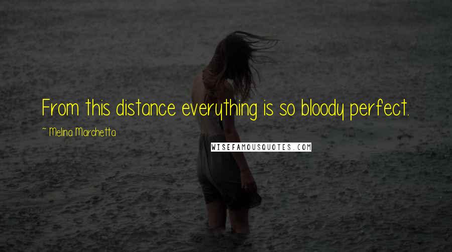 Melina Marchetta Quotes: From this distance everything is so bloody perfect.