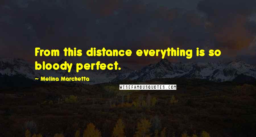 Melina Marchetta Quotes: From this distance everything is so bloody perfect.