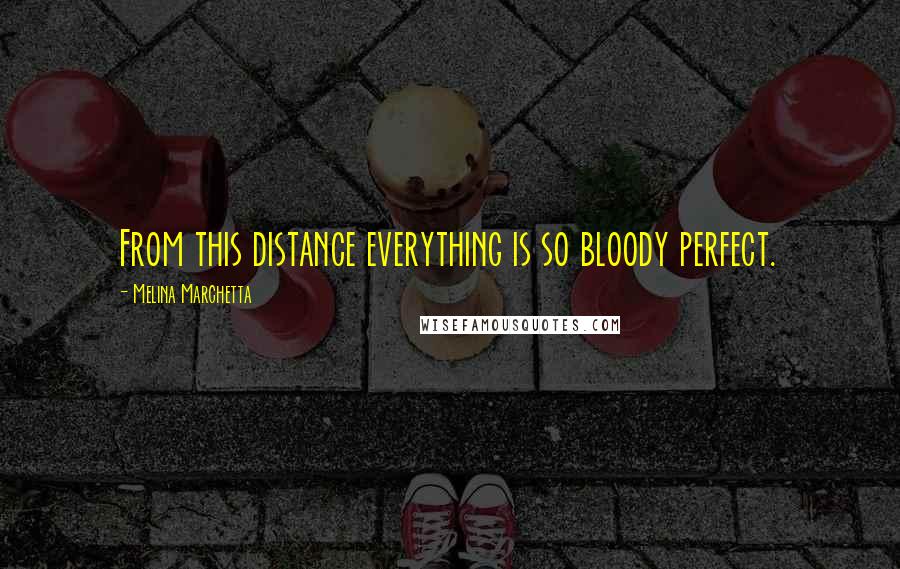 Melina Marchetta Quotes: From this distance everything is so bloody perfect.