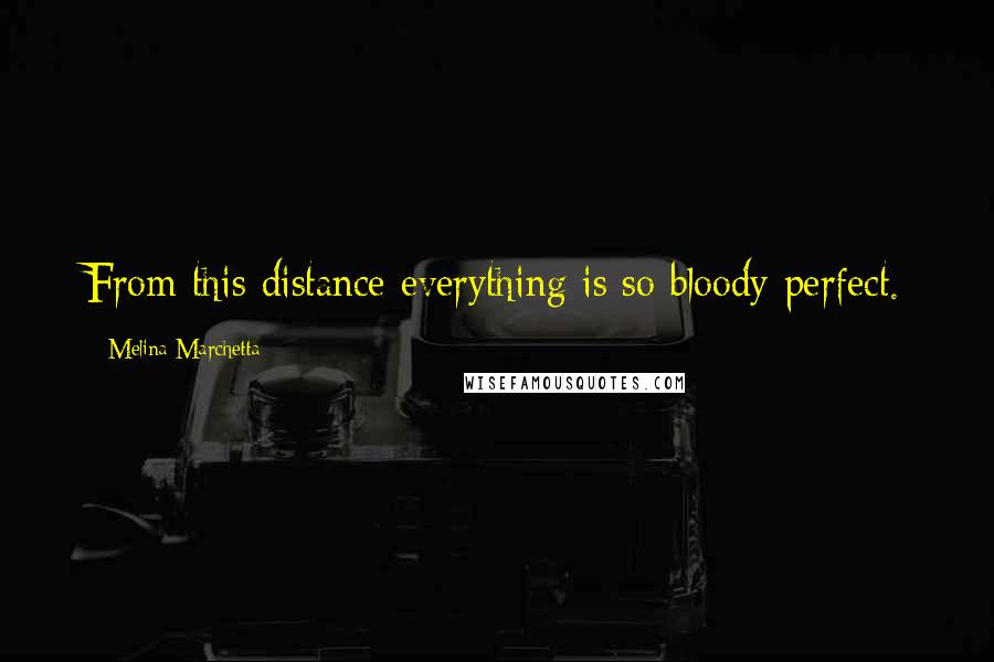 Melina Marchetta Quotes: From this distance everything is so bloody perfect.