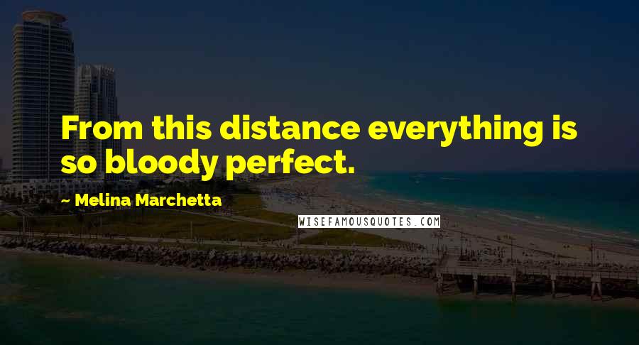 Melina Marchetta Quotes: From this distance everything is so bloody perfect.