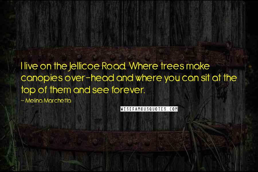 Melina Marchetta Quotes: I live on the Jellicoe Road. Where trees make canopies over-head and where you can sit at the top of them and see forever.