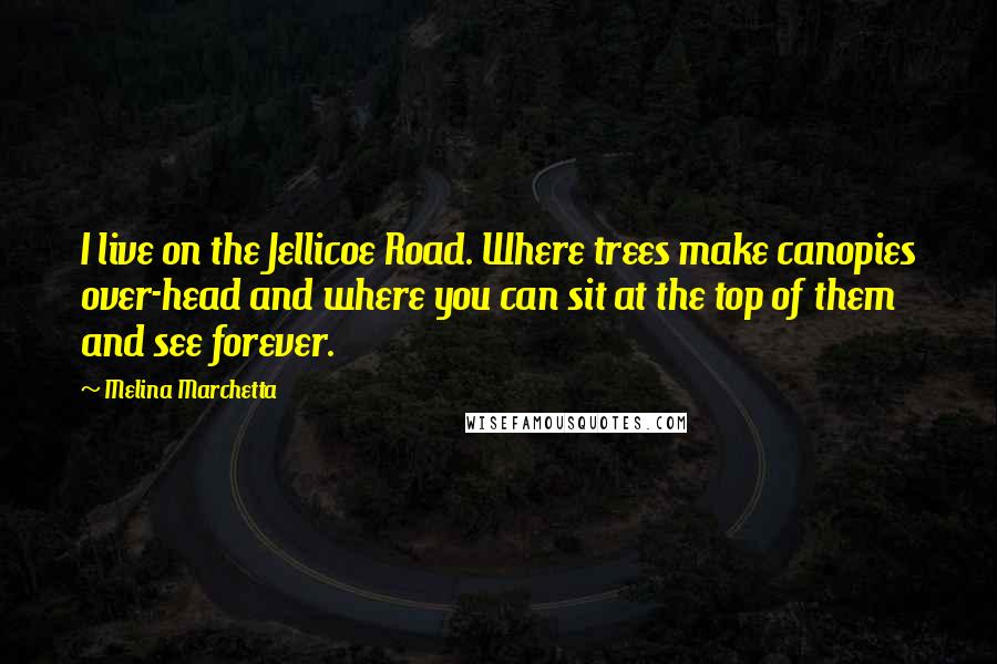 Melina Marchetta Quotes: I live on the Jellicoe Road. Where trees make canopies over-head and where you can sit at the top of them and see forever.