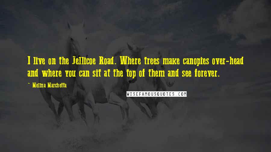 Melina Marchetta Quotes: I live on the Jellicoe Road. Where trees make canopies over-head and where you can sit at the top of them and see forever.