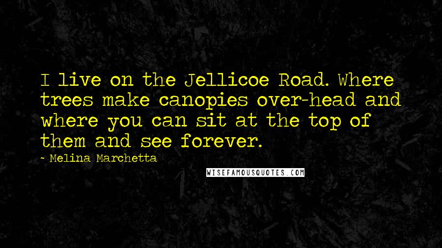 Melina Marchetta Quotes: I live on the Jellicoe Road. Where trees make canopies over-head and where you can sit at the top of them and see forever.