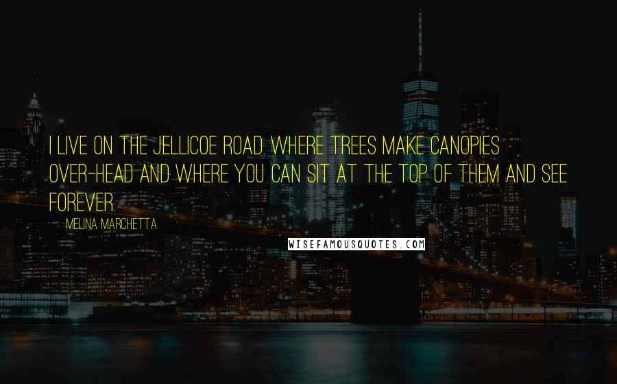 Melina Marchetta Quotes: I live on the Jellicoe Road. Where trees make canopies over-head and where you can sit at the top of them and see forever.