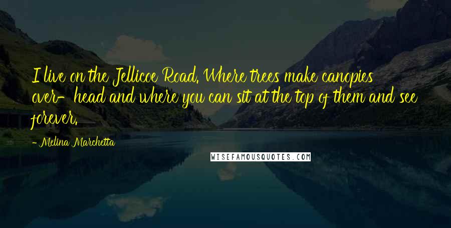 Melina Marchetta Quotes: I live on the Jellicoe Road. Where trees make canopies over-head and where you can sit at the top of them and see forever.