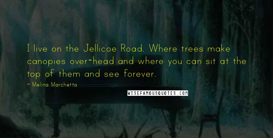 Melina Marchetta Quotes: I live on the Jellicoe Road. Where trees make canopies over-head and where you can sit at the top of them and see forever.