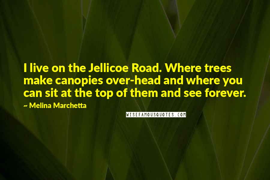 Melina Marchetta Quotes: I live on the Jellicoe Road. Where trees make canopies over-head and where you can sit at the top of them and see forever.