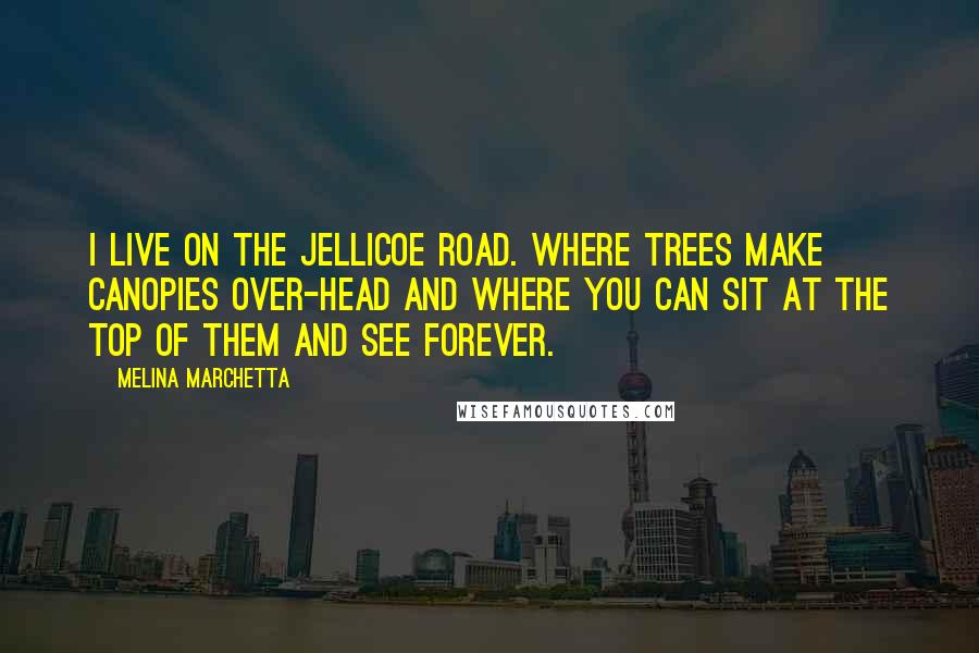 Melina Marchetta Quotes: I live on the Jellicoe Road. Where trees make canopies over-head and where you can sit at the top of them and see forever.