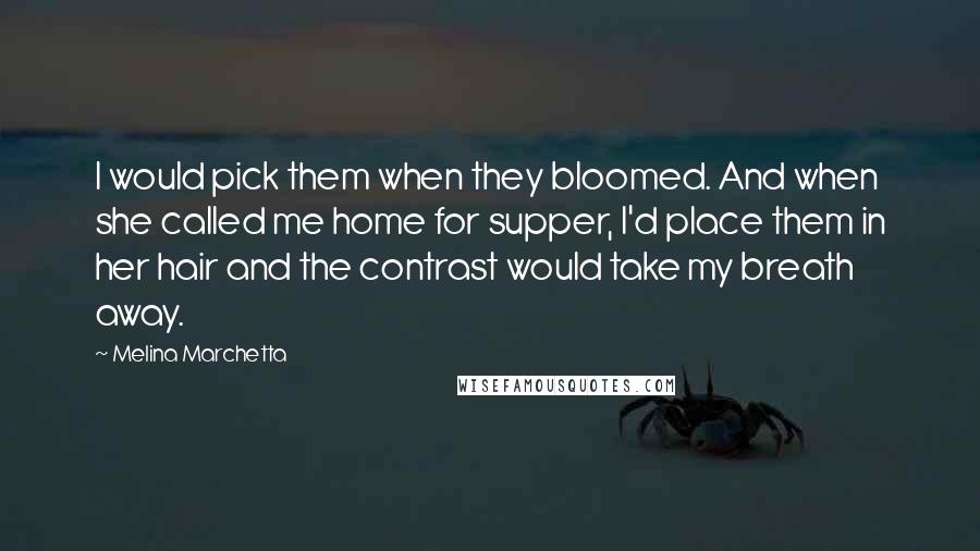 Melina Marchetta Quotes: I would pick them when they bloomed. And when she called me home for supper, I'd place them in her hair and the contrast would take my breath away.