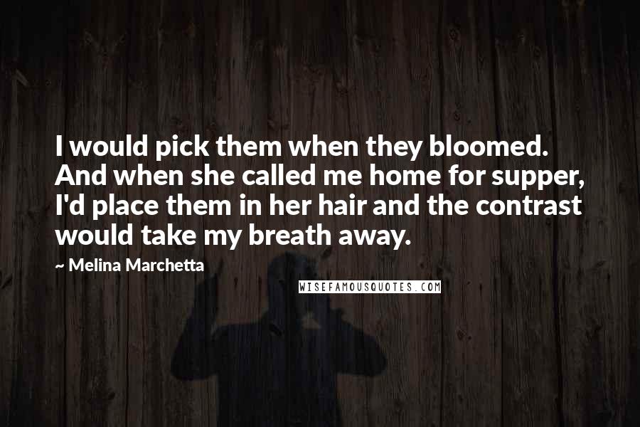 Melina Marchetta Quotes: I would pick them when they bloomed. And when she called me home for supper, I'd place them in her hair and the contrast would take my breath away.