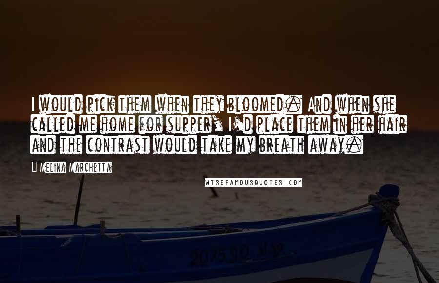 Melina Marchetta Quotes: I would pick them when they bloomed. And when she called me home for supper, I'd place them in her hair and the contrast would take my breath away.