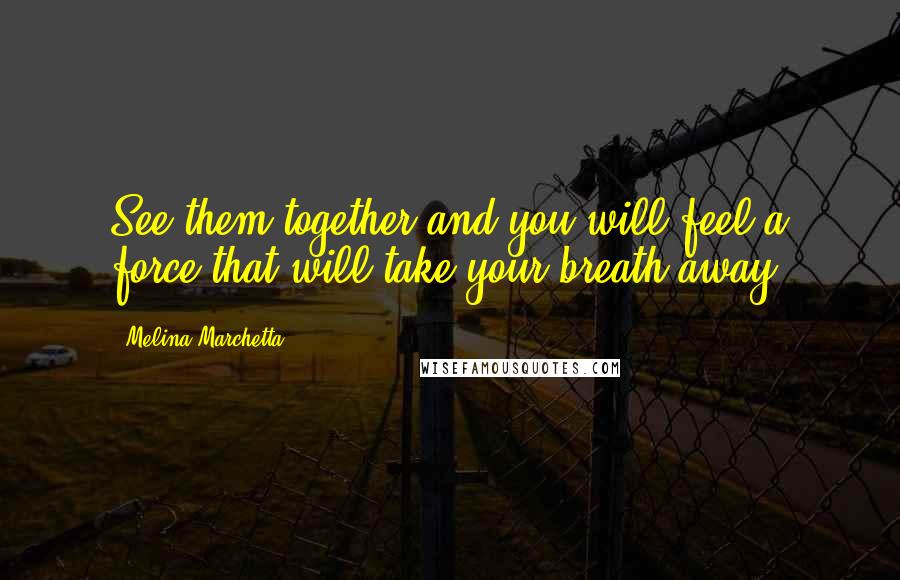 Melina Marchetta Quotes: See them together and you will feel a force that will take your breath away.