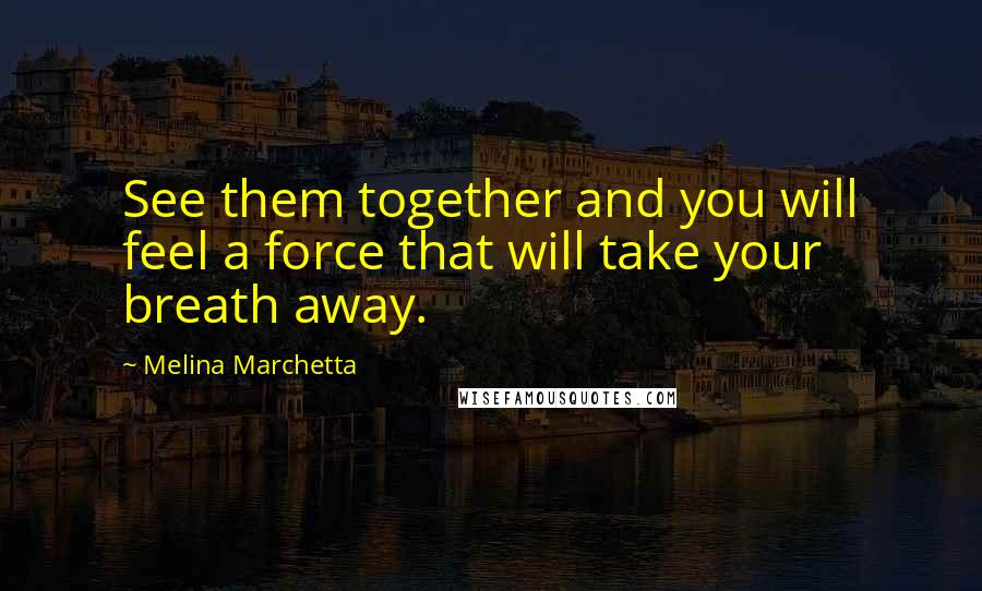Melina Marchetta Quotes: See them together and you will feel a force that will take your breath away.