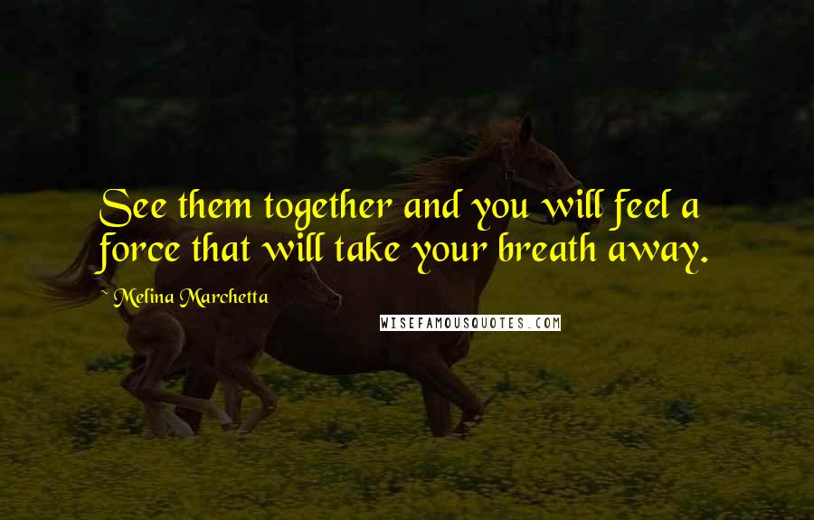 Melina Marchetta Quotes: See them together and you will feel a force that will take your breath away.