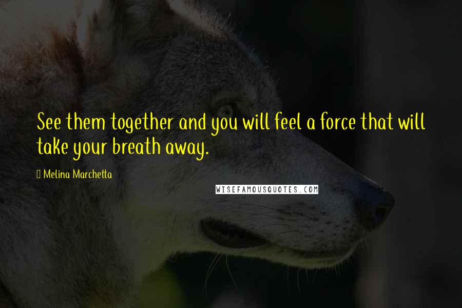 Melina Marchetta Quotes: See them together and you will feel a force that will take your breath away.
