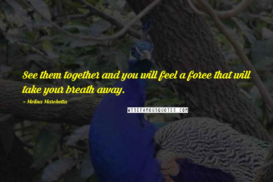 Melina Marchetta Quotes: See them together and you will feel a force that will take your breath away.