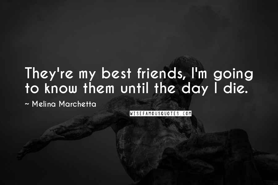 Melina Marchetta Quotes: They're my best friends, I'm going to know them until the day I die.