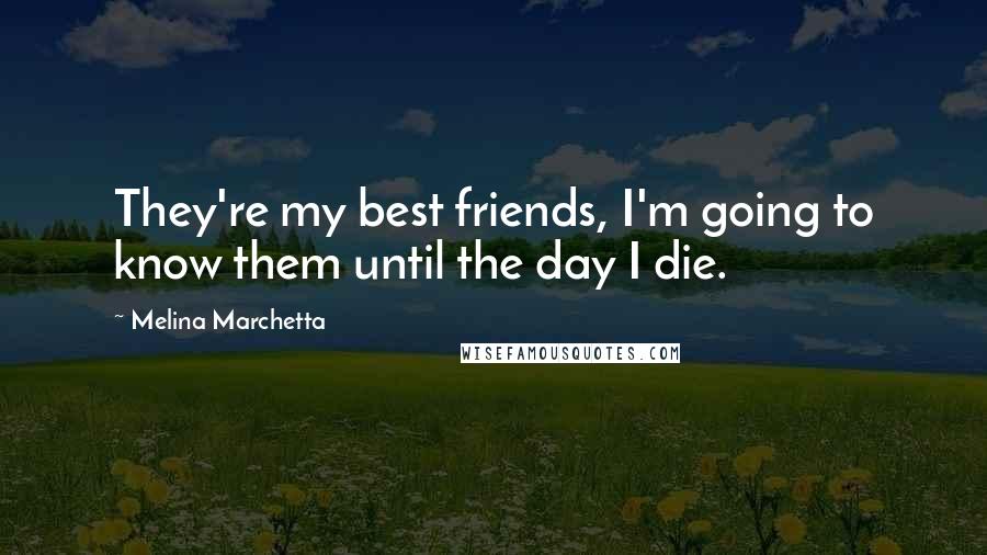 Melina Marchetta Quotes: They're my best friends, I'm going to know them until the day I die.