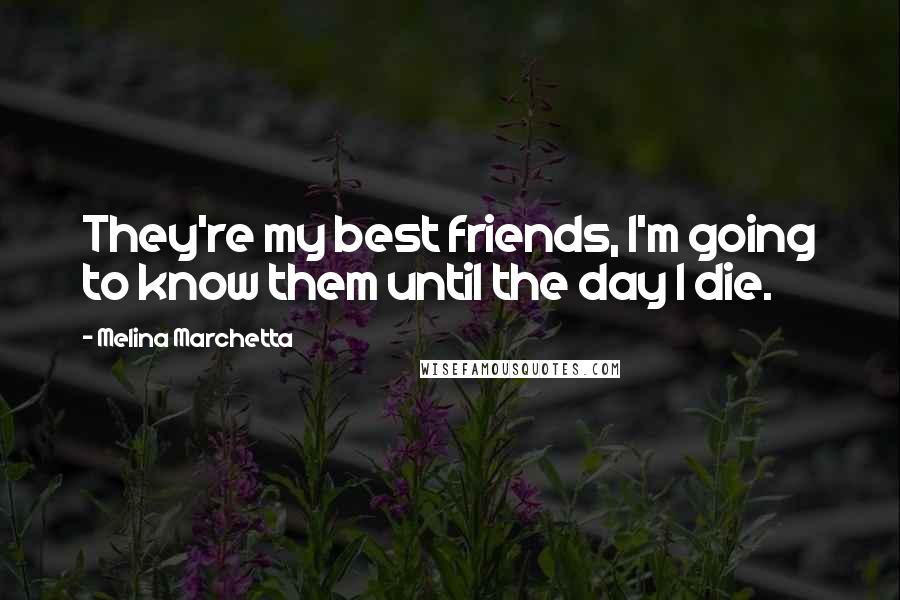 Melina Marchetta Quotes: They're my best friends, I'm going to know them until the day I die.