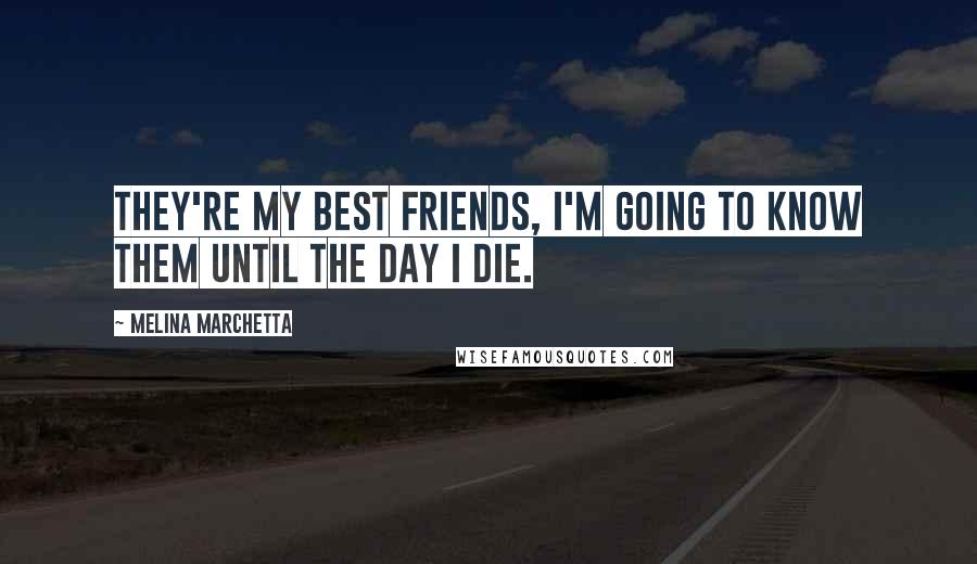 Melina Marchetta Quotes: They're my best friends, I'm going to know them until the day I die.