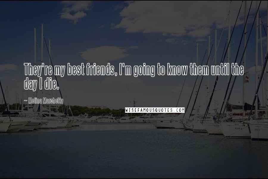 Melina Marchetta Quotes: They're my best friends, I'm going to know them until the day I die.