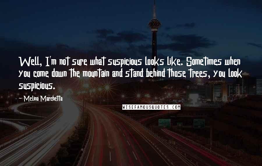 Melina Marchetta Quotes: Well, I'm not sure what suspicious looks like. Sometimes when you come down the mountain and stand behind those trees, you look suspicious.