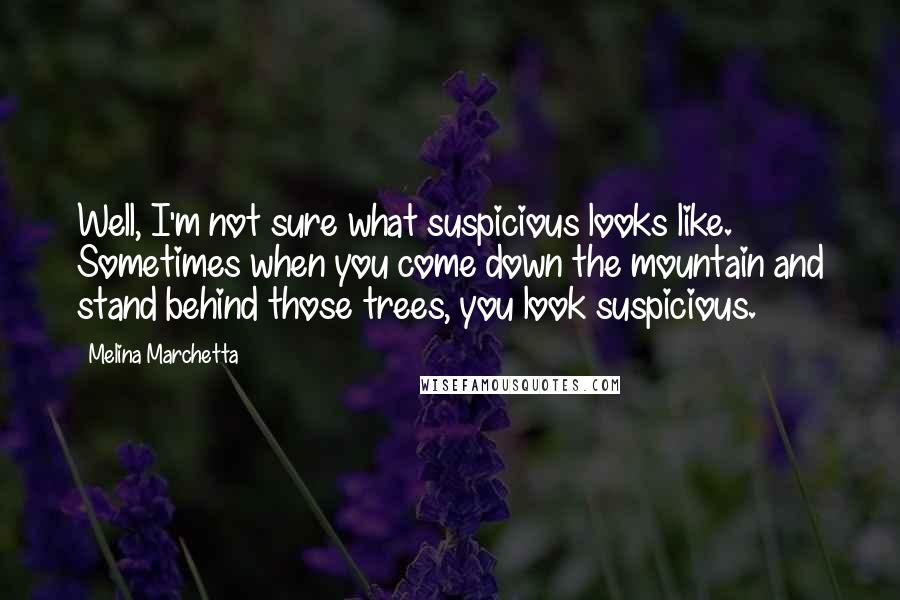 Melina Marchetta Quotes: Well, I'm not sure what suspicious looks like. Sometimes when you come down the mountain and stand behind those trees, you look suspicious.