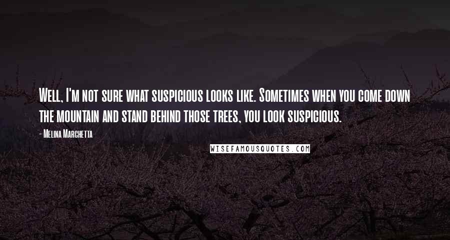 Melina Marchetta Quotes: Well, I'm not sure what suspicious looks like. Sometimes when you come down the mountain and stand behind those trees, you look suspicious.