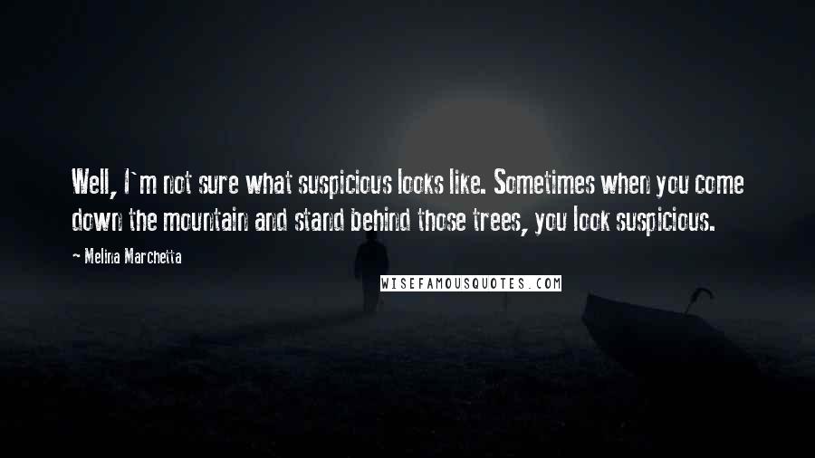 Melina Marchetta Quotes: Well, I'm not sure what suspicious looks like. Sometimes when you come down the mountain and stand behind those trees, you look suspicious.