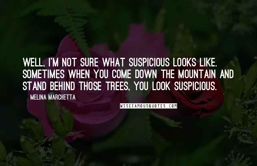 Melina Marchetta Quotes: Well, I'm not sure what suspicious looks like. Sometimes when you come down the mountain and stand behind those trees, you look suspicious.